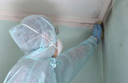 Certified Mold Inspector Training